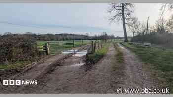 Cattle complex as big as a supermarket approved