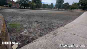 Concern as 300-year-old pond dries up in heatwaves