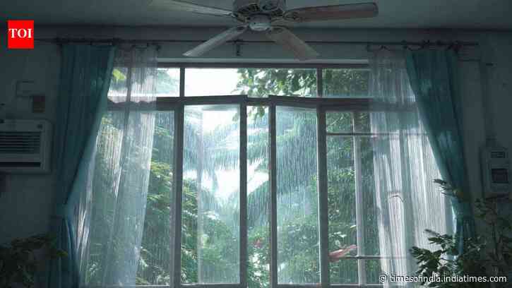Monsoon home care: 7 simple ways to prevent fungus on walls before it starts spreading