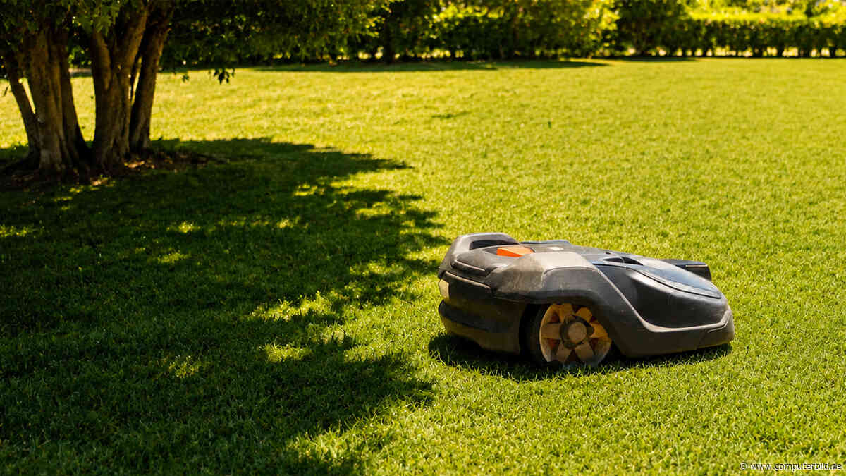 Sommer im Garten: Warum Sie Ihren Mähroboter vor Hitze schützen sollten