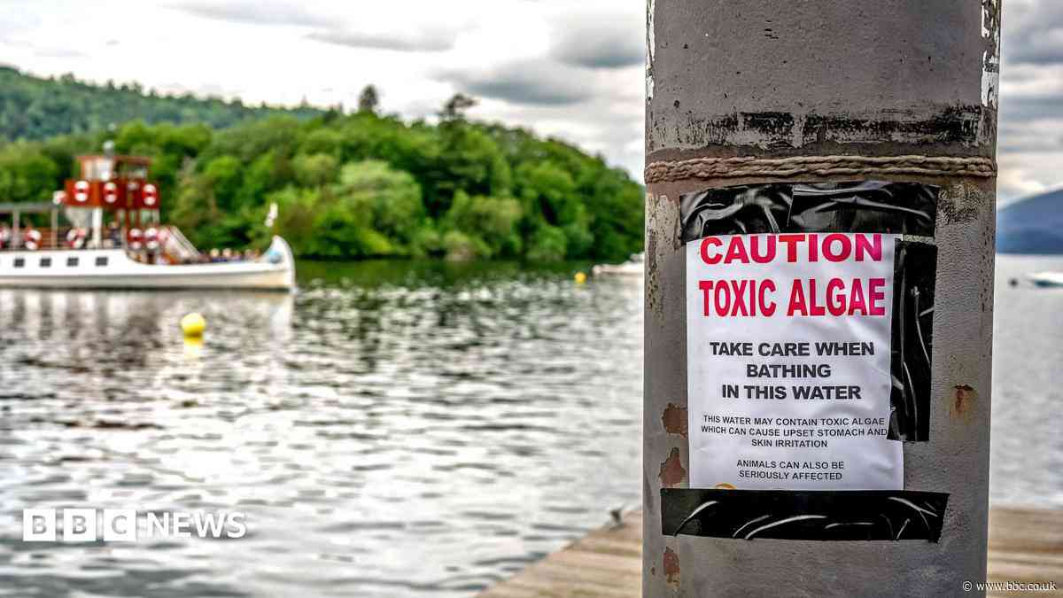 Majority of England's rivers and lakes fail new environmental review