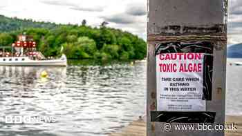 Majority of England's rivers and lakes fail new environmental review