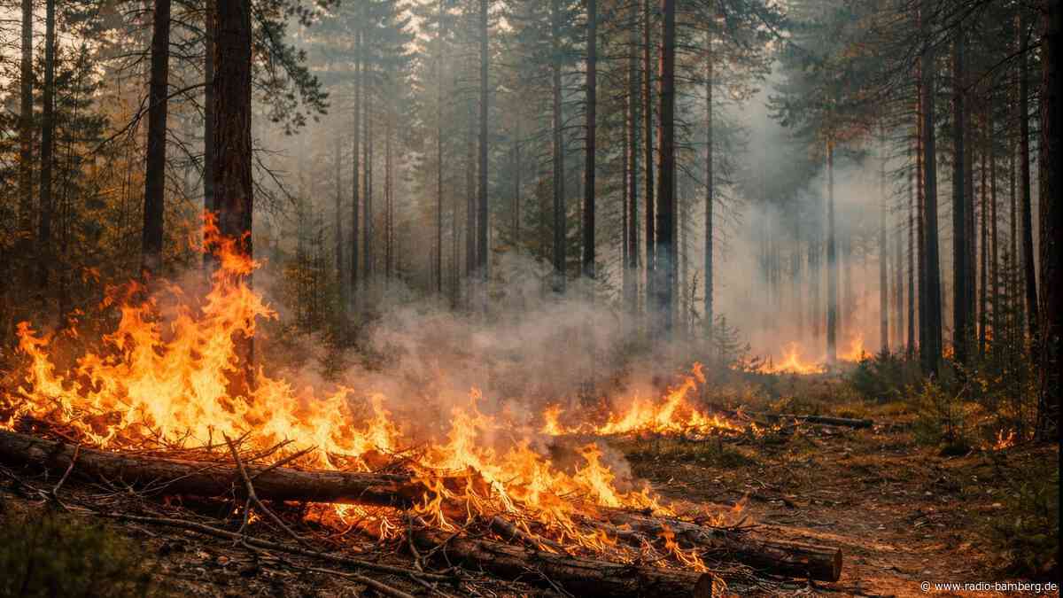 Größerer Waldbrand im Landkreis Haßberge