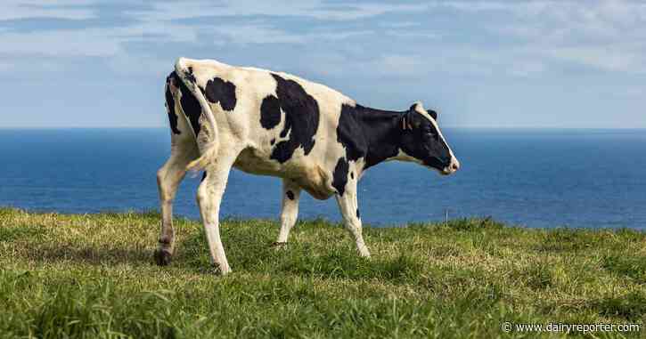 Red tape sinks world’s first floating dairy farm