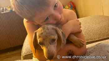 Meet the six-year-old Howdon boy spreading kindness after sudden loss of beloved puppy