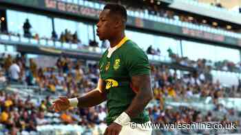Springbok star explains shock disappearance as double tragedy crushed him