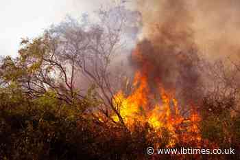 UK Wildfires Map 2026: Areas Affected by Drought, Hosepipe Bans, and Forest Fire Warnings