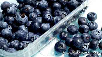 Blueberries and raspberries may be contaminated with 'explosive' parasite sickening thousands in US, ex-CDC director warns