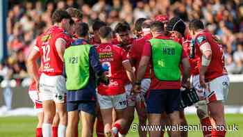 Scarlets boss' bold ambition and the academy talents who can transform future