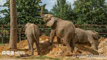 Jobs under threat at two Kent animal parks