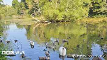 Eight country parks in Kent retain Green Flag status