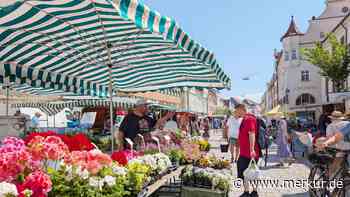 Nach Klagen von Standbetreibern: Was sich auf dem Freisinger Wochenmarkt jetzt ändert