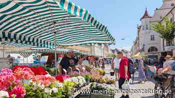 Nach Klagen von Standbetreibern: Was sich auf dem Freisinger Wochenmarkt jetzt ändert