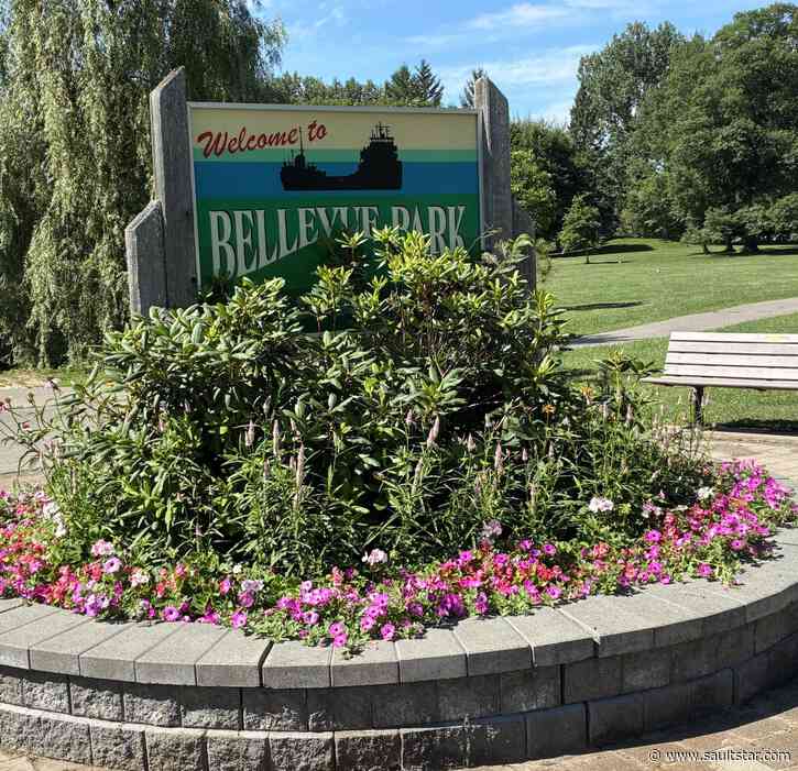 Bellevue Park survey to help determine future plans for premier park