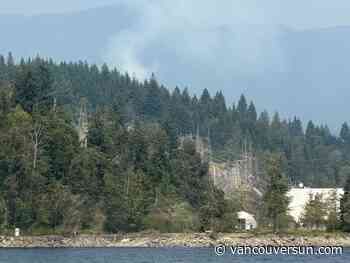 Belcarra park wildfire 'nearly contained': Metro Vancouver