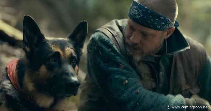 Watch Brad Pitt Improv & Bond With Adorable Dog Uber in New Heart of the Beast Video