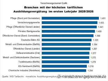 So viel verdienen Versicherungs-Azubis im Branchenvergleich