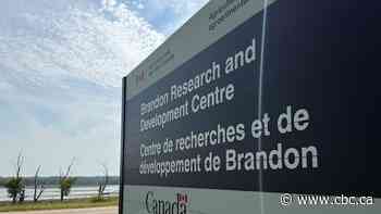 Brandon agricultural research station cleaning up, drying out after flooding drowns crops