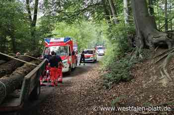 Bünde: Junge (12) nach Traktorunfall verstorben