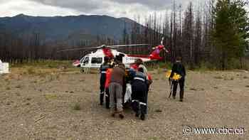 72-year-old hiker attacked by grizzly bear in B.C.