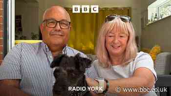 Adder bite leaves couple fearing for dog's life
