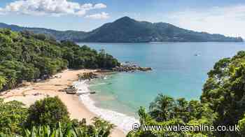 Police issue major update after Cardiff teenagers arrested in Thailand
