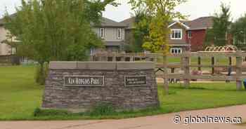 Fort Saskatchewan, Alta. RCMP seek public assistance in child luring investigation
