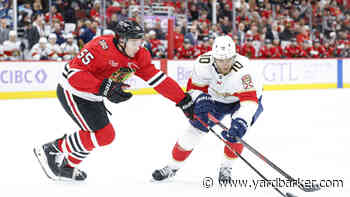 Blackhawks 2025-26 Player Grades: Artyom Levshunov