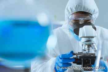 AI used to create antibacterial viruses but experts warn of biosafety risk