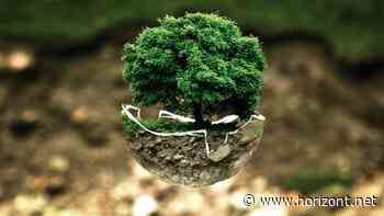 Earth Overshoot Day: Wie Circular Design zum Fundament zukunftsfähiger Marken wird