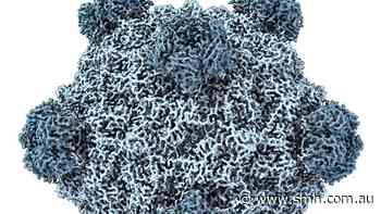 AI used to create new viruses in the lab