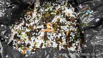 'This is an emergency' - River Tyne crash sparks calls for boats to help with nurdles clean-up