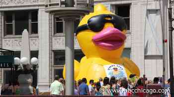 The Chicago Duck Derby sets splashy goal ahead of annual fundraiser
