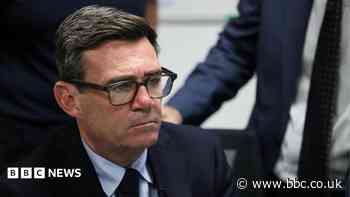 Burnham not actively considering Epstein inquiry, No 10 says