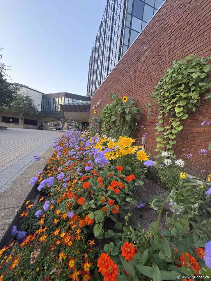 The list of registered council candidates in North Bay has jumped to nine