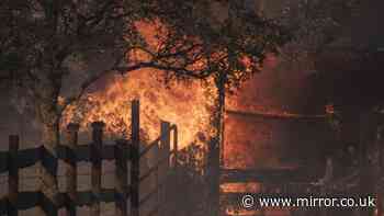 Man arrested over wildfire says 'this is going to destroy my life' as body found
