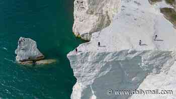 On the brink of insanity: Walkers (and children!) risk their lives for a selfie on South Coast cliffs