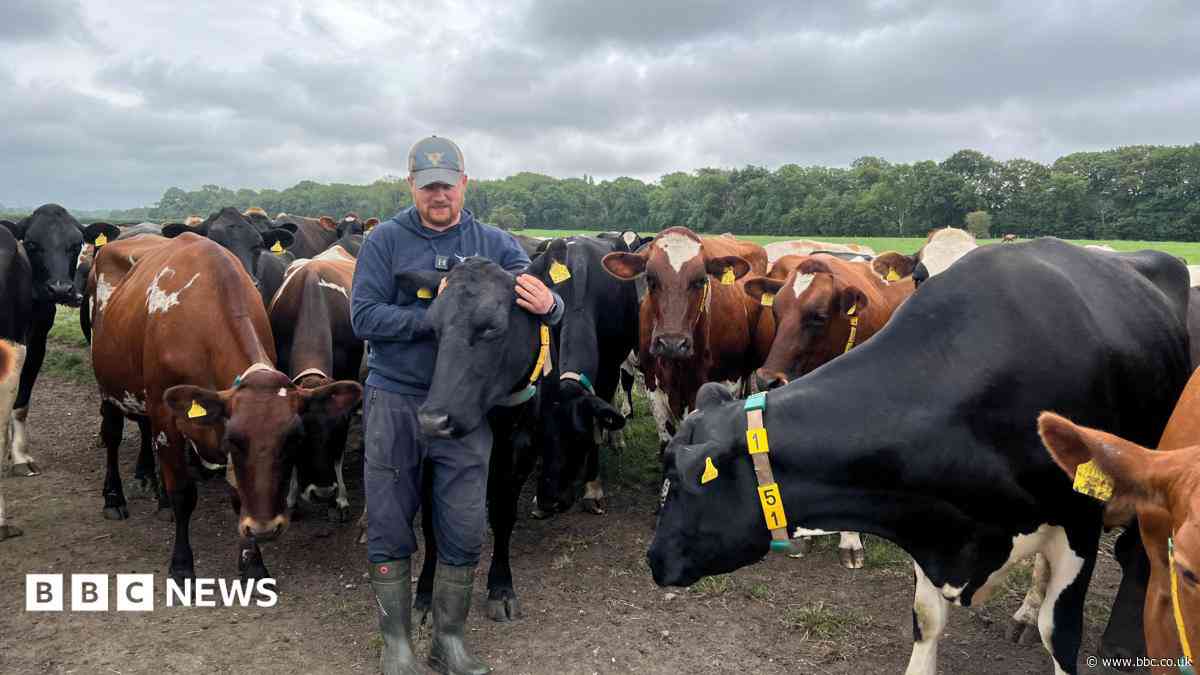 Farmers turning to vending machines for 24/7 boost