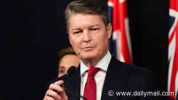 Victoria's new premier to push ahead with work-from-home laws despite business backlash