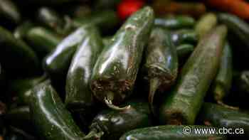 Jalapeno-linked salmonella outbreak hits 27 U.S. states. What's the risk in Canada?
