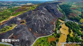 Wildfire-ravaged habitats could take centuries to recover, environmentalists say