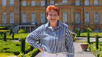 Pauline Hanson slams claims she used 'Fire the Liar' donations on five-star London hotel as she blasts media