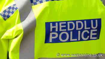 Four arrested as 'violent disorder' leaves two in critical condition in south Wales