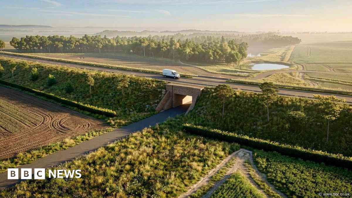 Bypass will slash congestion, council claims