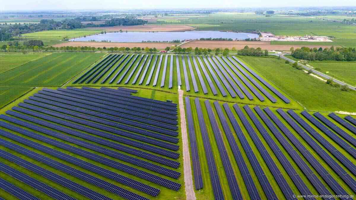 Grüne: Reiches Politik verhindert günstige Strompreise