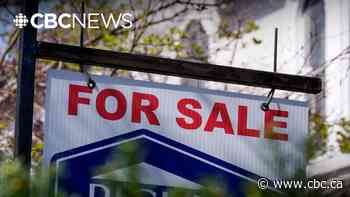 Why Edmonton home sales have plunged 11% compared to this time last year