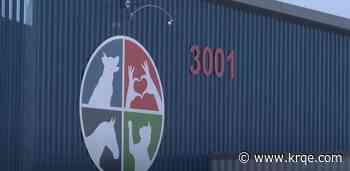 Bernalillo County Animal Care Services to reopen canine rooms