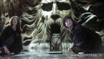 In 'Harry Potter and the Chamber of Secrets' zit een scène waarin Harry Potter een grote filmfout onthult