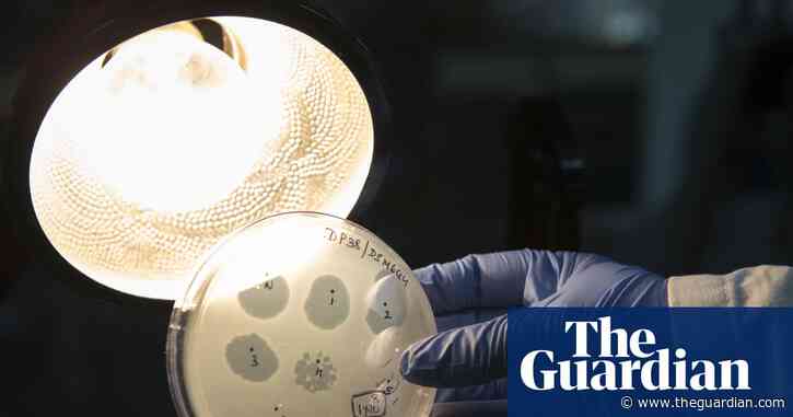 Safety fears as scientists make first viruses designed by AI