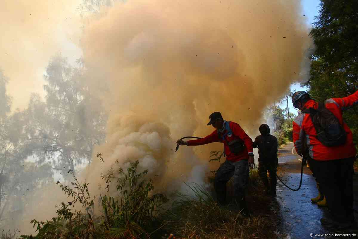 Waldbrand am Vulkan Bromo: Sperrungen für Touristen